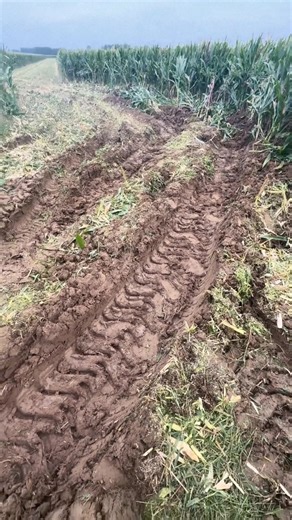 The actual effectiveness of rubber track chassis in preventing sinking#Agricultural #farming #machinery #harvester #track