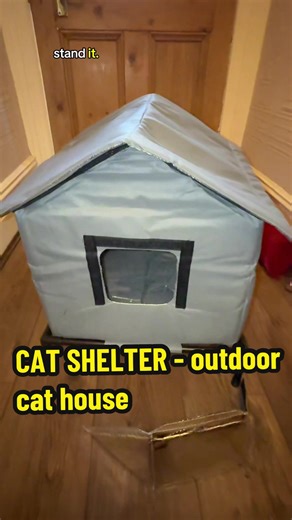 What this cat house actually looks and feels like from a REAL person. A cat shelter for if you do let your cats out #cathouse #catshelter #catlovers #catowner #cattiktok