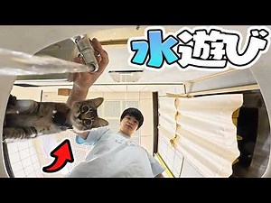 A Water-Loving Kitten!? This Is Too Adorable | Routine