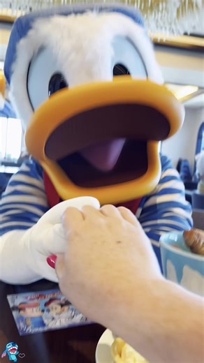 Fun Moments at Disneyland: Joyful Experiences and Laughter