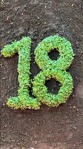 🌱 Number 18 Growth Art | Seed to Green Magic ✨