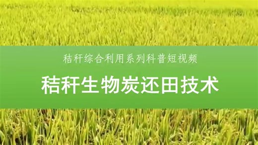 秸秆生物炭还田技术