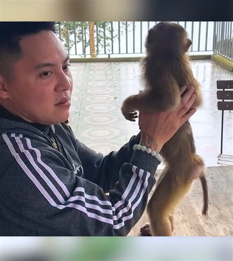 Dad is sad when he hasn't heard from Kaka since went missing | Lucy Cat