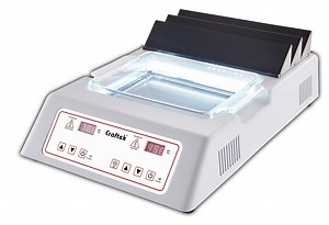 [Hot Item] Tissue Floatation and Baking Processor