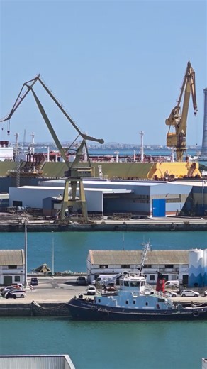6.9K views · 19 reactions | "Massive LNG carrier docked at port ⚡ These giants transport liquefied natural gas across oceans at -162°C, powering nations worldwide. The scale of these vessels and port infrastructure is mind-blowing! #LNG #shipping #maritime #energy | marine photography | Facebook