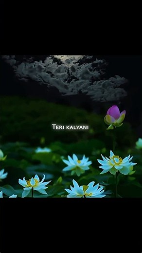 Kalyani 💫 (Remix) Lyrics - Shreya Ghoshal | ARJN | KDS | #kalyani #lyrics #shreyaghoshal #shorts