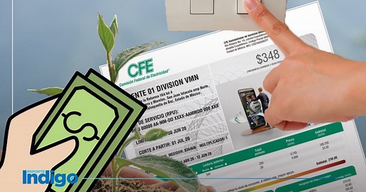 CFE: ¿Cómo consultar tu recibo en 2026? Paso por paso fácil