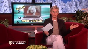 I love a good cat video. | Ellen DeGeneres
