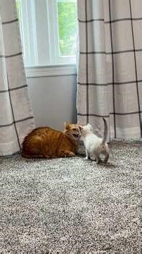 when gary & kurt first made contact