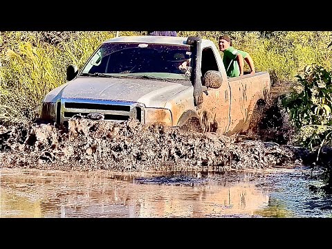 TRILHA BATAGUASSU 2024 - EP 03 - A goiabeira