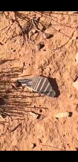 Ancient artifacts in the desert. #outdoors #adventure #ancient #artifacts | Real Adventure Theory