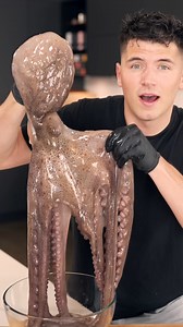 Whole Octopus | Nick DiGiovanni