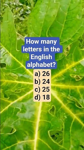 How many letters in the English alphabet?