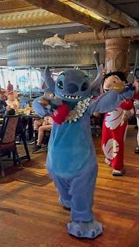 ✨ A Disney Moment 'Ohana while Stitch, Lilo, Mickey and Pluto make their way through the restauran