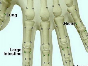 Electrodermal Screening