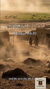 The Plague of Boils - Exodus 9:6-10 | ‪@BOOKOFLIFE-THEHOLYBIBLE‬ #dailyverse #bibleverses