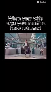 We love seeing the first martins of the season! If you see Purple Martins in your area, report it to our Scout Arrival Study at https://www.purplemartin.org/research/8/scout-arrival-study/! #purplemartins #birds #migration #scoutarrivalstudy #citizenscience #birdnerd | Purple Martin Conservation Association