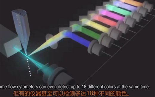 四分钟学会流式细胞仪工作原理，以动画演示的形式，生动形象的展示了流式细胞仪光学系统，分选系统，数据处理系统等的工作原理。