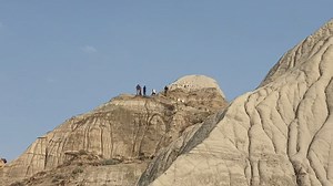 Dragonfly fossil found