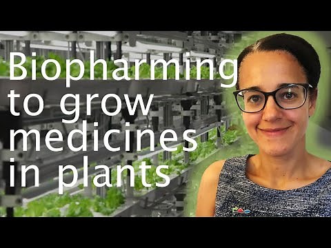 Genetically engineering plants for biopharming - Nicola Patron