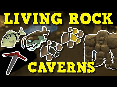 Should OSRS Get The Living Rock Caverns? How The Living Rock Caverns Would Change OSRS!