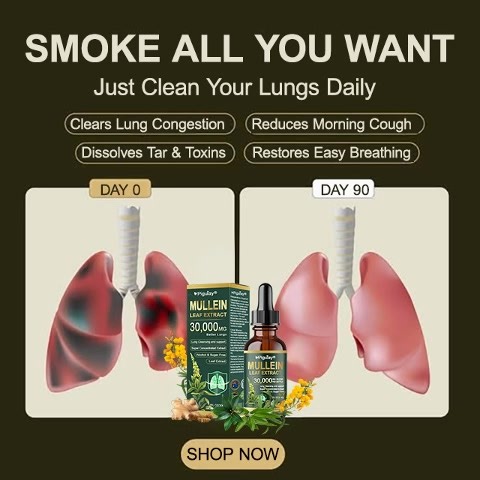 Breathe easier and live healthier with this powerful herbal lung detox formula. Expertly crafted with pure organic mullein leaf extract, it helps cleanse your lungs of toxins, tar, and excess mucus — making every breath smoother and more comfortable. ✅ Clears mucus & relieves chest congestion ✅ Helps soothe coughing, phlegm, and shortness of breath ✅ Promotes healthy lung function and supports natural detox ✅ Strengthens your immune system & protects against respiratory infections Each drop deli