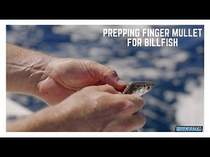 Ultimate Finger Mullet Trolling Rig! Swims Like It's Alive! Easy to Rig!