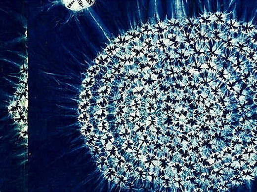 Unfinished Conversations