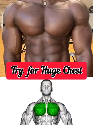 Build a Powerful Chest That Commands Respect | Ultimate Chest Workout 💪🔥 📌 Description: If you want a chest that shows strength, confidence, and dominance, this workout is for you. These exercises are designed to build real size, solid strength, and deep muscle definition. No shortcuts. No excuses. Just pure chest training that delivers results. 👉 Exercises covered in this video: Push-Up Plus Exercise Ball Push-Up Barbell Floor Chest Press Exercise Ball Incline Press Dumbbell One Arm Bench F