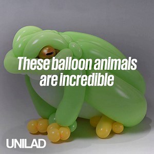 876K views · 5.6K reactions | These are the best balloon animals I've EVER seen | UNILAD | Facebook