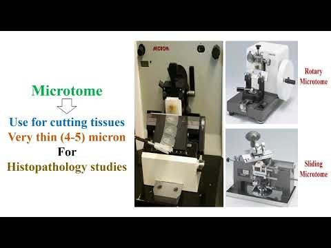 Microtome Machine, Principle and Functions