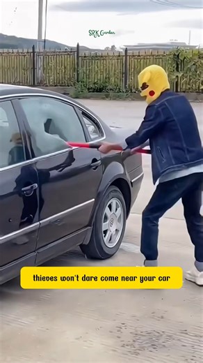 Stop Car Theft Fast | Phoenix Nursery