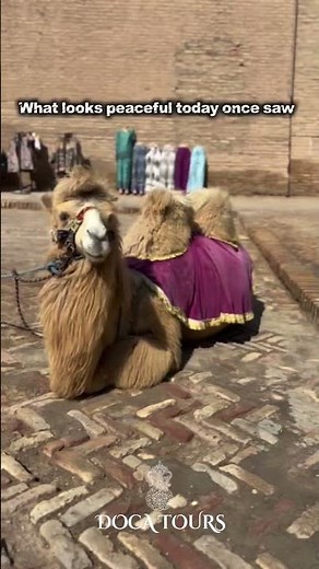 Khiva is one of the most unique and best-preserved ancient cities in Uzbekistan #travel