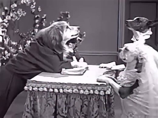 A History of Dogs on Instagram: "A scene from the Dogville Comedies film “Who Killed Rover?” from 1930."