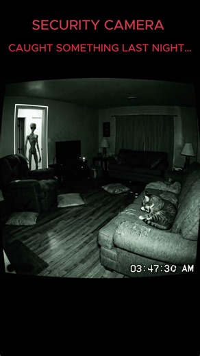 Cat vs Alien - Security Camera Caught This at 3AM 😱🐱 #shorts #alien #cat #horror