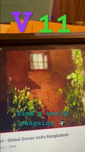 V 11 Elmo’s world penguins 🐧