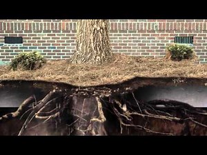 Foundation Repair | Part 2 The Cause | Ram Jack Pacific