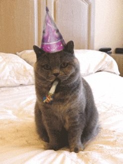@Stake Happy 9th Birthday Stake! Heres to many more birthdays 💙 Stake: kitsunepuff03Thank you for the opportunity and for giving everyone a chance. It would honestly help me out a lot if i got lucky enough to win. Hoping for the best! 🙏🙏