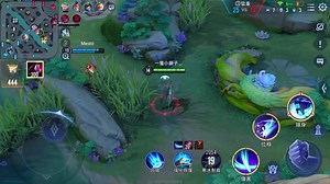 一隻小獅子 on TikTok