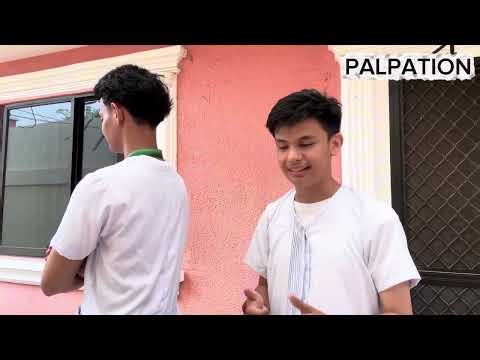 Assessment of the Thorax