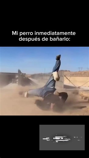 Memes Random #memes