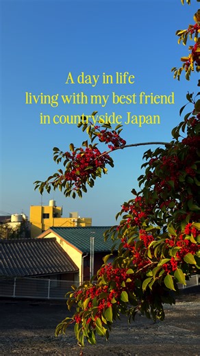 Embracing Early Spring in Japan's Countryside