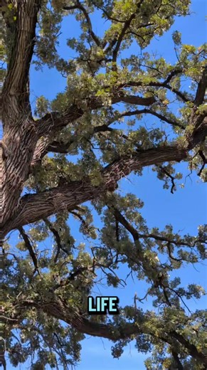 There is a lot going on in the world right now. So, you need to take a break. Even just 5 minutes. 💙 -Kate | 104.1 EZ FM