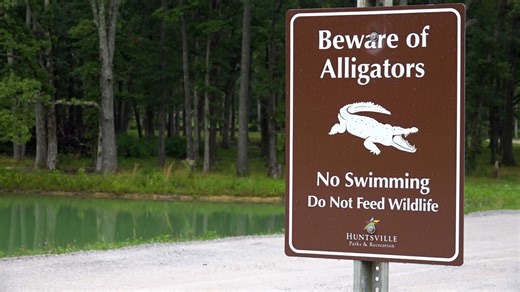 10 new alligator warning signs put up after an unconfirmed report of an attack