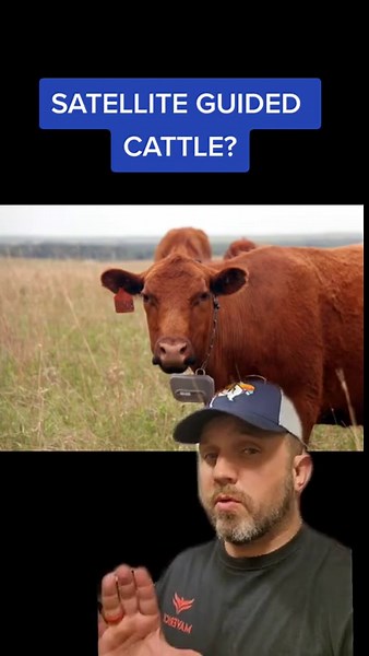 Virtual Fencing: Satellite-Guided Cattle Management