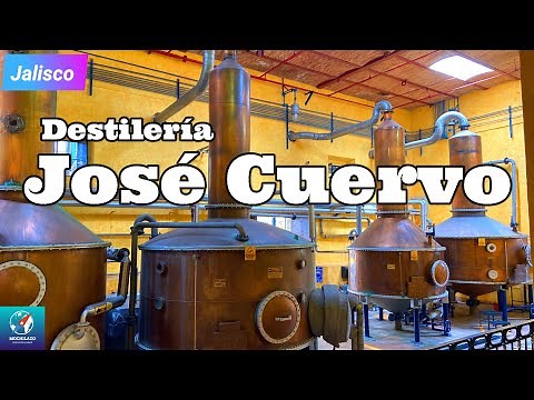 Tour DESTILERIA JOSE CUERVO en Tequila Jalisco| Tour por Tequila #MEXICO