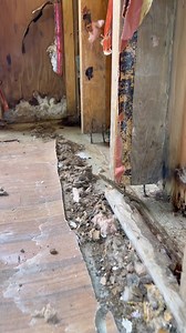 80K views · 230 reactions | We had to completely rebuild our basement wall! But before we do that we had to build a temporary support wall. #remodel #construction #homerenovation #realestate #design #entrepreneur #interiordesign #hardwork #woodworking #renovation #homedecor #tools #diy #carpentry #work #asmr #designer #homemade #engineering | WINNI | Facebook