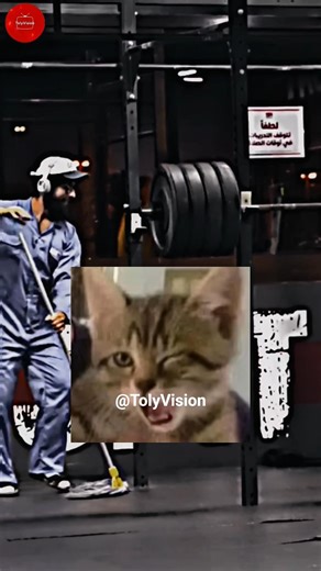 JANITOR LIFTS HUGE WEIGHT!🤯Anatoly Squat Prank Reaction #anatoly #bodybuilding #powerlifting #shorts