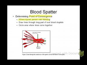 Forensic Science Screencast 7.2 (Blood Spatter)