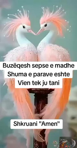 #witchesoftiktok #witchy #witch #viral #beginnerwitchtips #witchtip #practitioner #witchesoftiktok #witchtok #protection #spellsandhexes #spells #witchtok #manifestes #dazblack #dazgames #witchtoku've #lovespell #manifestation #spirituality #obsessioniste #obsessionspell #witchesoftiktok #lovespelsgonewrong #lovespel #witchyvibes #witchyvibes #witchywisdoms #yoursgin #motivation #goodluck #fy#spiritual#tarotcards #soulmate #twinflame #astrology#zodiac #Love#